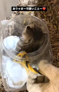 無事に救出！（佐々木 幸一さん提供、Instagramよりキャプチャ撮影）