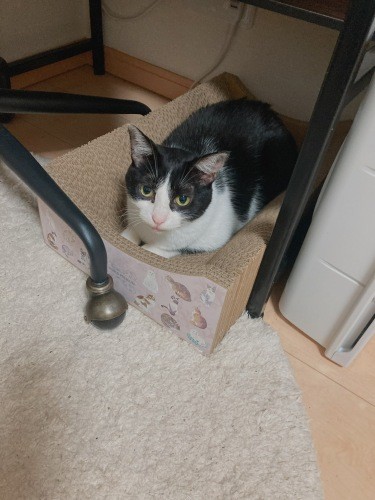 だんだんと距離が縮まり……（なみさん提供）