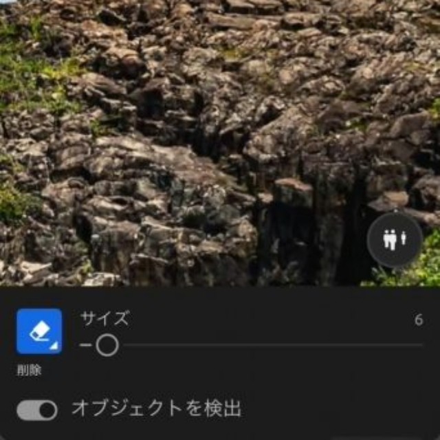 人物が消えたあとに「僧侶の人影」が生成（宮田森さん提供）