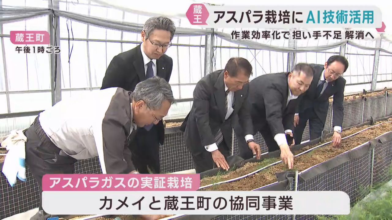 ＡＩ活用しアスパラガス栽培　負担軽減や担い手不足解消へ　宮城・蔵王町
