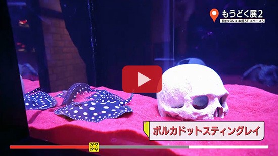 #86もうどく展２①