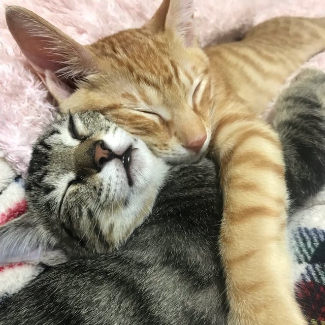 いつも一緒だよ！