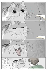 漫画「猫のヒゲを数えたい」（提供：キュルZさん）