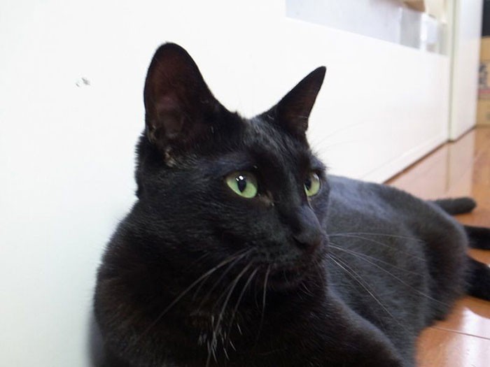 事故に遭って跡もきれいに