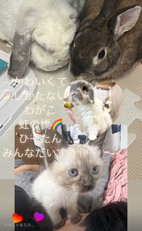 家族に愛され幸せに過ごすステラちゃん（画像提供：葉山あかね 2y 双子さん）