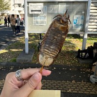 たしかにグロテスク（田原舞さん提供）