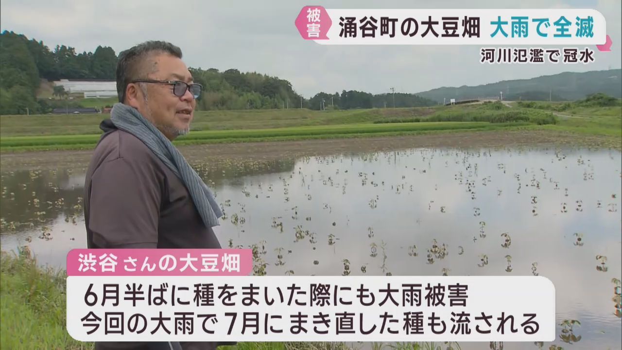 特産の大豆に壊滅的な被害　宮城・涌谷町　記録的な大雨により