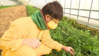 岡山市で黄ニラやパクチーを生産している植田輝義さん