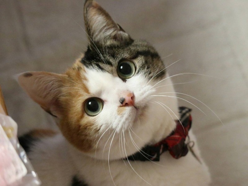 「いーちゃん」「私の名前、呼んだ？」