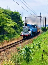 4年前撮影。大井川鉄道のきかんしゃトーマス号（動画提供：茶農家佐京園13代目 佐京裕一郎さん）