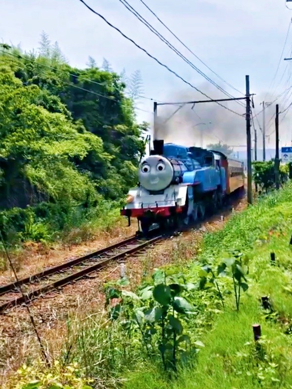 4年前撮影。大井川鉄道のきかんしゃトーマス号（動画提供：茶農家佐京園13代目 佐京裕一郎さん）