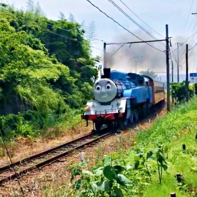 4年前撮影。大井川鉄道のきかんしゃトーマス号（動画提供：茶農家佐京園13代目 佐京裕一郎さん）