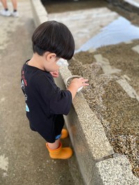 さわってもいいとき（提供：ハトドケイさん）