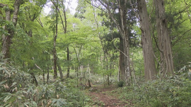 「四国の山　写真・動画コンテスト」の作品募集　11月11日「四国山の日」に表彰式