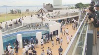 四国水族館　香川・宇多津町