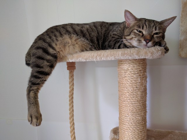 落ちそうで落ちない