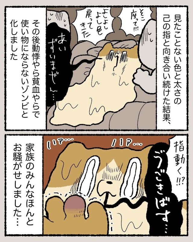 【漫画】『結婚指輪が抜けなくなった話』17（ゆう｜ノープロブレムキャットさん提供）