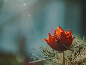 希望を抱いて一緒に飛び込んだ福祉の仕事。その現実と、彼女の死