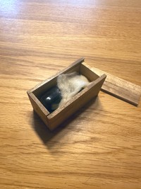 大事に保管されていたことがわかります（かぐらさん提供）