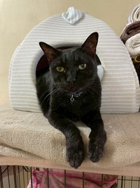 実年齢は23歳より上の可能性も……（画像：三協精器工業）