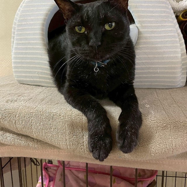 実年齢は23歳より上の可能性も……（画像：三協精器工業）