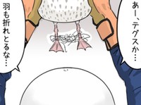 セグロカモメの脚に釣り糸にも使われるテグスが…（タニシさん提供）