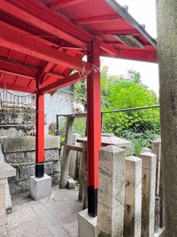 くつろいでいるようです。 ※松村上久郎さん提供