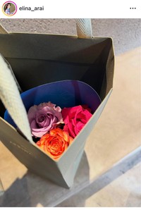 新井恵理那アナのインスタグラム＠elina_araiより
