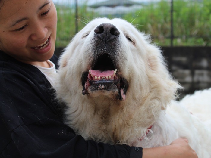８歳だけど、甘えん坊です