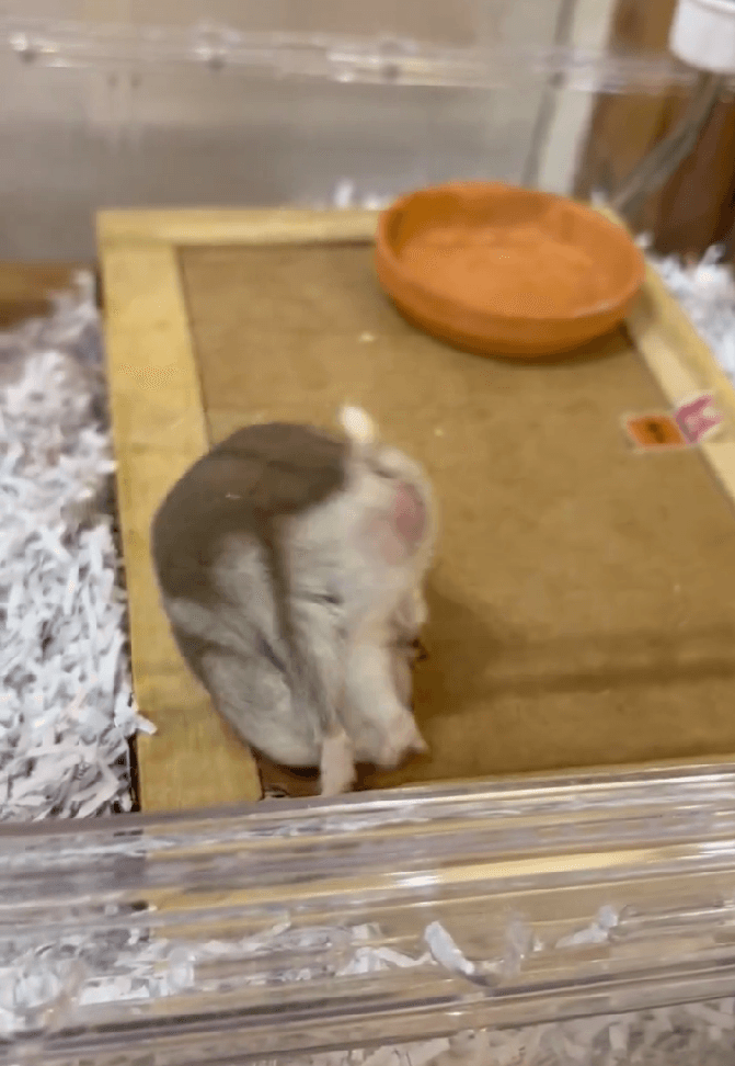 力が入りすぎ、どんどんお尻が浮いてしまう…！