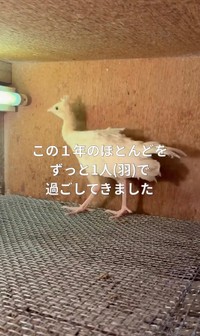 1年間別室で過ごしてきた／長崎県川棚町公式アカウント（@kawatana_official）提供