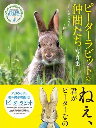 ピーターラビットの仲間たち　写真集