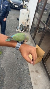 初対面のGRtakuya店長にも懐いており、人懐っこい性格のようです。 ※GRtakuya店長提供