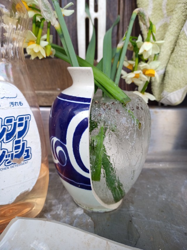 寒すぎて花瓶が割れた！？ 中の水が凍って膨張→ショッキングなまでに