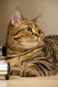 普段はおっとりしています（「もな」さん提供）