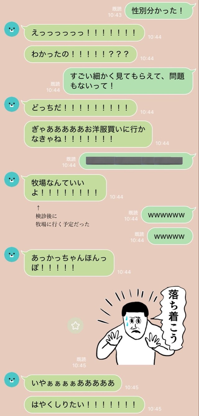 夫から届いた大興奮のLINE ／ハルさん（@nameko__Q）提供
