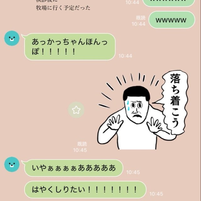 夫から届いた大興奮のLINE ／ハルさん（@nameko__Q）提供