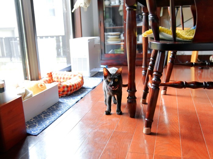 撮影時、生後半年。人間の子どもたちと同様、すくすくと成長。