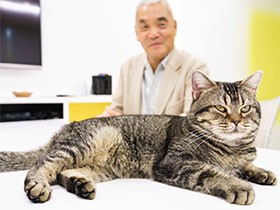 写真家・岩合光昭さんが撮る映画「ねことじいちゃん」特別秘話