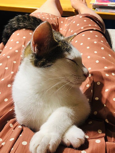 「足の上で幸せなひととき」（さやかさん提供）