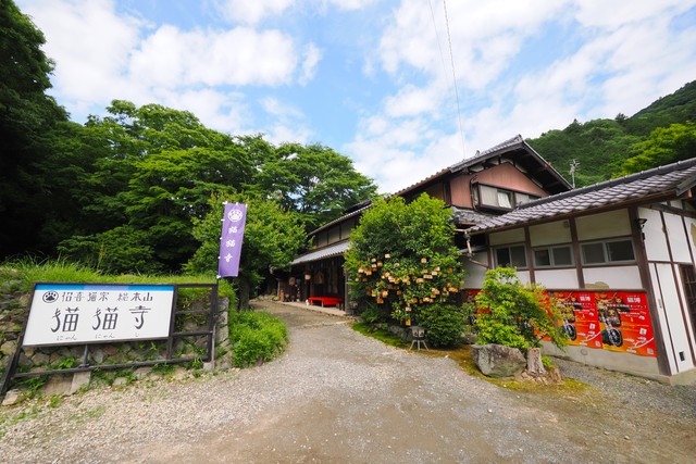 猫猫寺の外観。ここから博物館までは歩いて５分程度