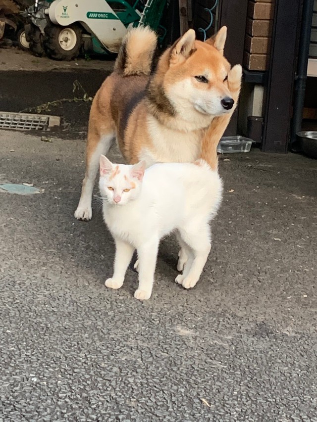 もともとは仲が良かったわけではなかったという（提供写真）