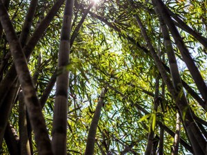 学校でほとんど話さなかった元彼。恋心がいつしか執着心に