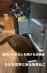 向こう側の引き出しも開けられていた・・・（大山 しるこさん提供、Instagramよりキャプチャ撮影）