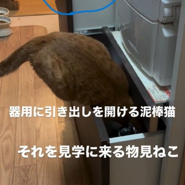 向こう側の引き出しも開けられていた・・・（大山 しるこさん提供、Instagramよりキャプチャ撮影）