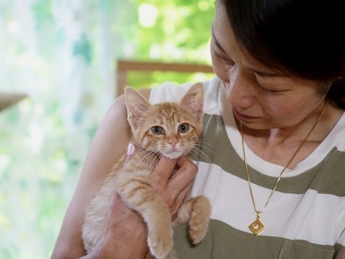 香川から来た「やすめ」君も家族を募集中