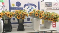 あすは父の日　JR高松駅でヒマワリをプレゼント　香川