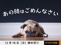 【アマギフ対象】「あの時はごめんなさい」でエッセイ募集！12月18日（日）締切