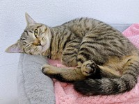 2歳になったぴーちゃん（画像提供：単発0x0さん）