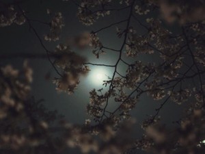 24時間、摂食障害の社畜をコンビニは歓迎した。その安心感と快楽